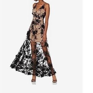 Dress the Population Gown